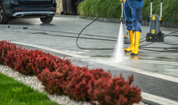 Best Driveway Pressure Washing  in Monroe Manor, NJ